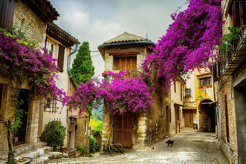 Stunning Provence